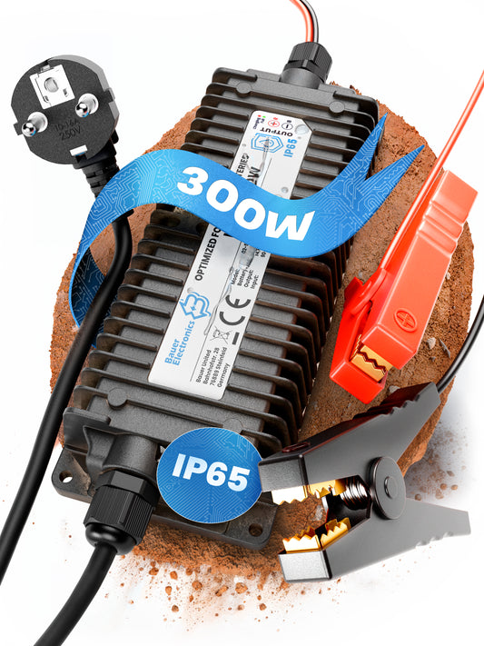 48V Batterie-Ladegerät LiFePO4 58,4V 5A 300W