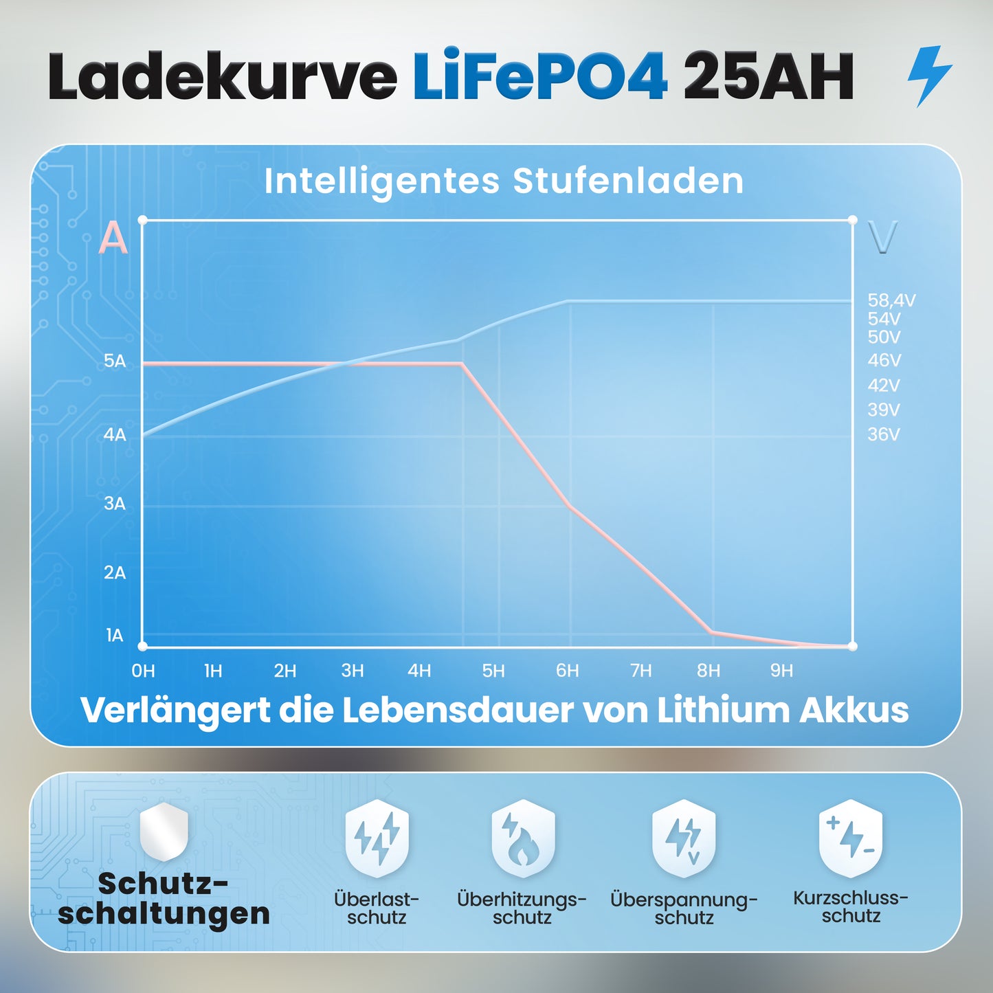 48V Batterie-Ladegerät LiFePO4 58,4V 5A 300W