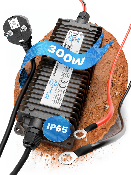 12V Batterie-Ladegerät LiFePO4 14,6V 20A 300W Ringanschluss